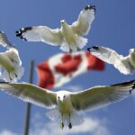 Histoire de la chirurgie esthétique et plastique au Canada